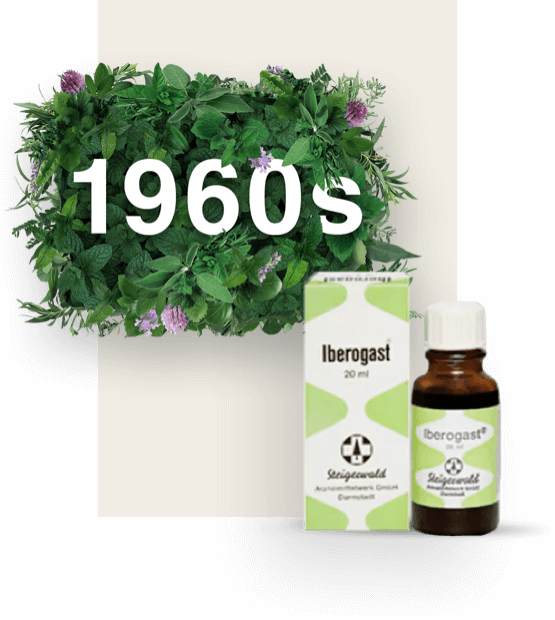 Godina 1960 okružena lišćem pored starije bočice i kutije lijeka Iberogast.